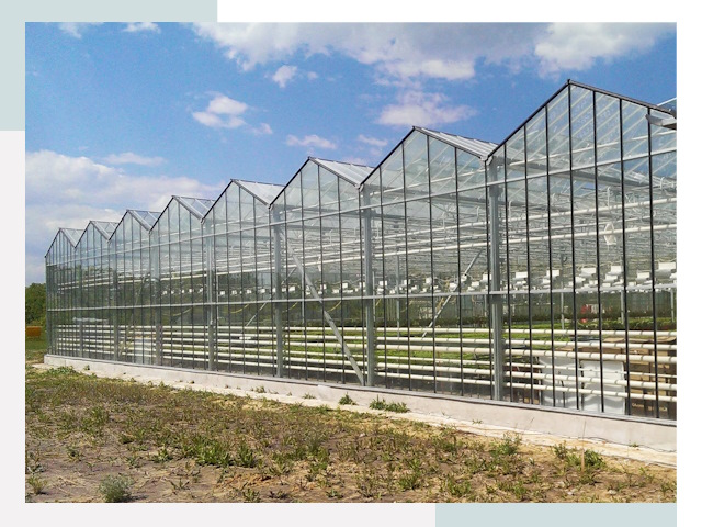 Строительство теплиц в Первоуральск от 618 руб. за м²